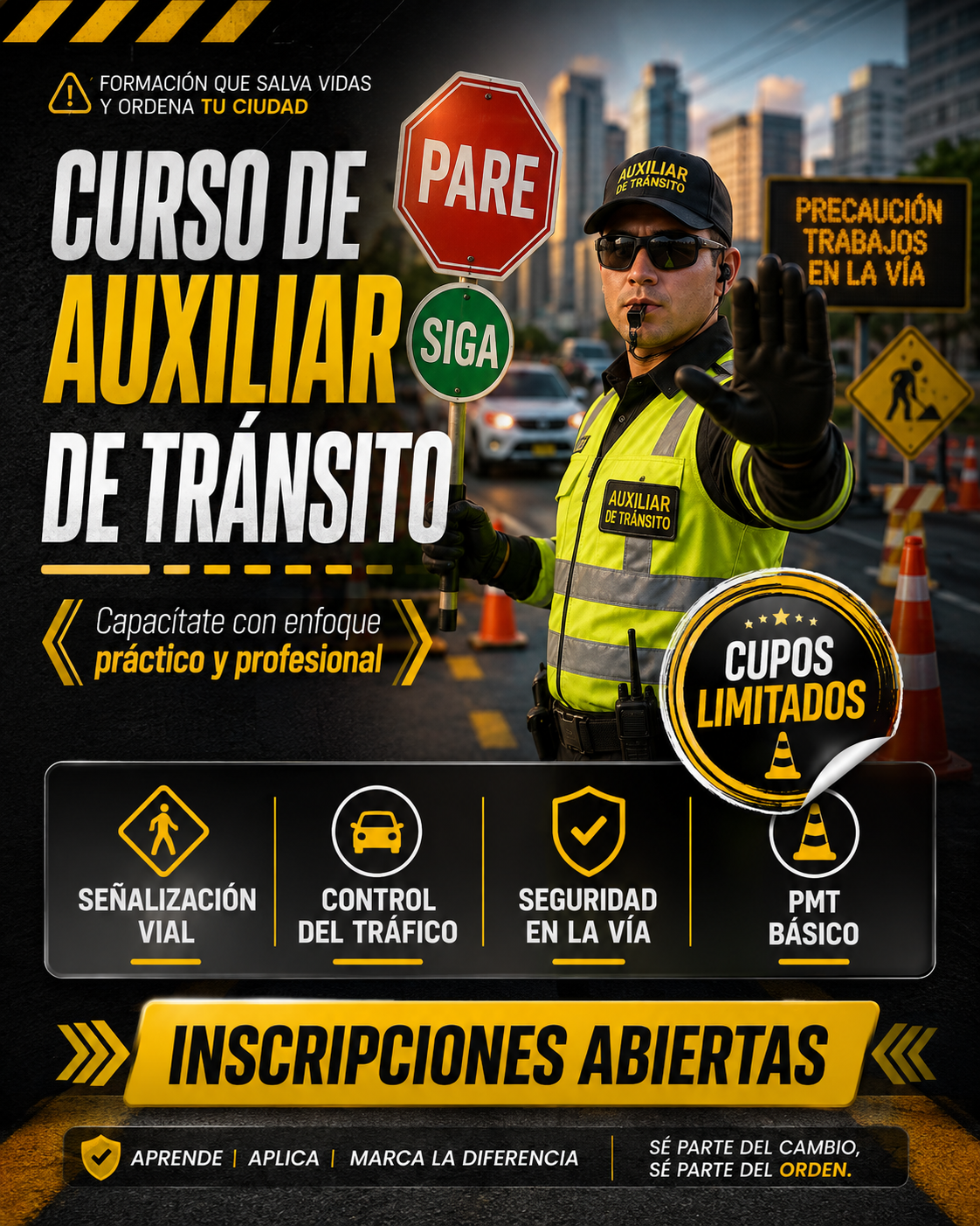 Curso Auxiliar de Tránsito · Ruta Vial